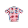 Maillot Santini Niño Tour De France Official